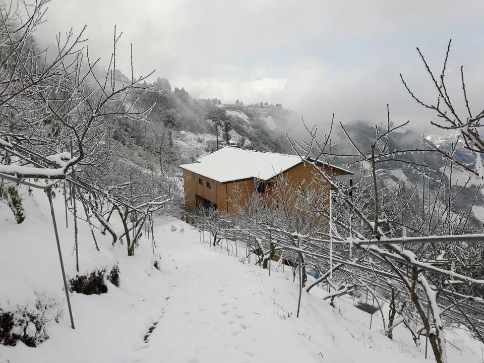 The Fairy Land - Lala Mountain Apartment Fuxing  Exterior foto